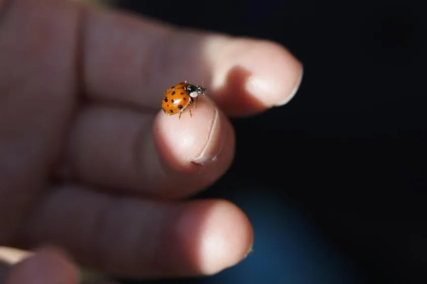 Students observing and exploring science in nature